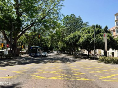 Malaga, İspanya - 02 Mayıs 2025: İspanya 'nın Malaga kentinde araçları ve açık gökyüzü olan bir ağaç