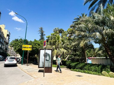 Malaga, İspanya - 02 Mayıs 2025: Malaga 'da güneşli cadde Palmiye ağaçları, yürüyen bir adam ve açık gökyüzü