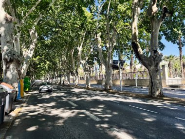 Malaga, İspanya - 02 Mayıs 2025: Canlı yeşil ağaçları ve İspanya 'nın Malaga kentindeki doğal atmosferi ile gölgelenmiş kentsel cadde.