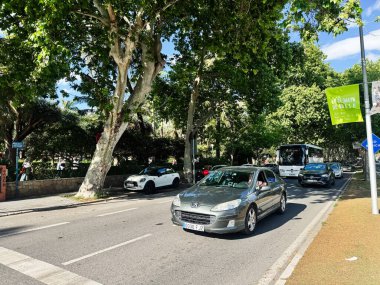 Malaga, İspanya - 02 Mayıs 2025: Malaga, İspanya 'da işlek bir caddede verimli ağaçların altından geçen otomobil ve otobüs