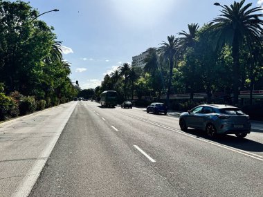 Malaga, İspanya - 02 Mayıs 2025: İspanya 'nın Malaga şehrinde palmiye ağaçları ve gün ışığında geçen araçlarla bir şehir caddesi