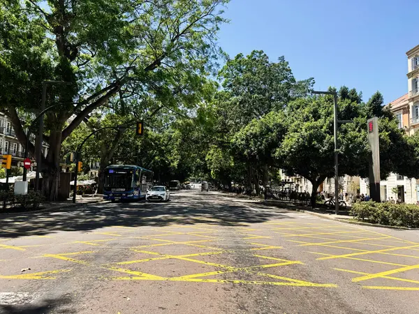 Malaga, İspanya - 02 Mayıs 2025: İspanya 'nın Malaga kentinde araçları ve açık gökyüzü olan bir ağaç