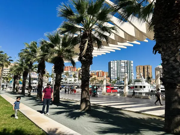 Malaga, İspanya - 02 Mayıs 2025: Palmiye ağaçları, mavi gökyüzü ve İspanya 'nın Malaga kentindeki manzara.