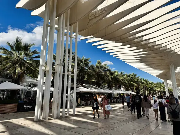 Malaga, İspanya - 02 Mayıs 2025: Malaga 'da modern yapılar, palmiye ağaçları ve hareketli atmosferli yaya geçidi.