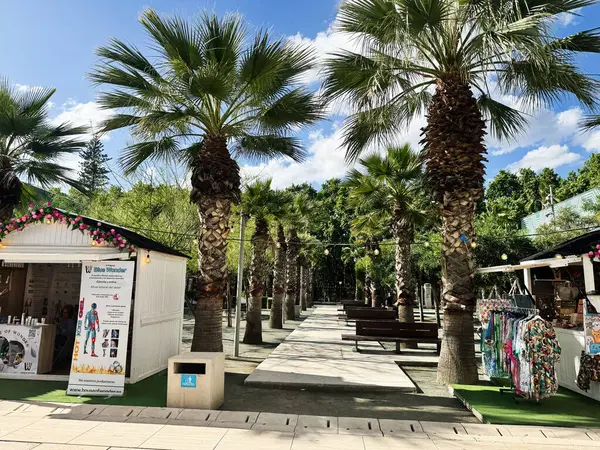 Malaga, İspanya - 02 Mayıs 2025: İspanya 'nın Malaga kentinde canlı güneşli bir gökyüzü altında palmiye ağaçlarıyla kaplı bir patika
