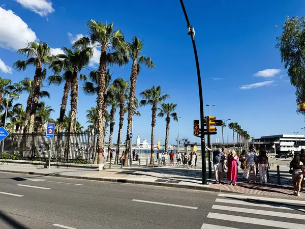 Malaga, İspanya - 02 Mayıs 2025: Palmiye ağaçları, yayalar ve güzel Malaga, İspanya 'da güneşli bir cadde.