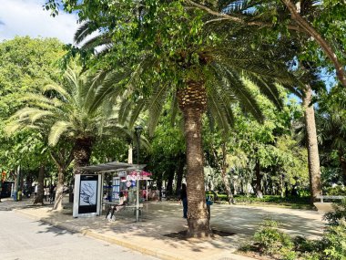 Malaga, İspanya - 02 Mayıs 2025: Malaga, İspanya 'da yemyeşil ve palmiye ağaçlarıyla çevrili bir otobüs durağı.