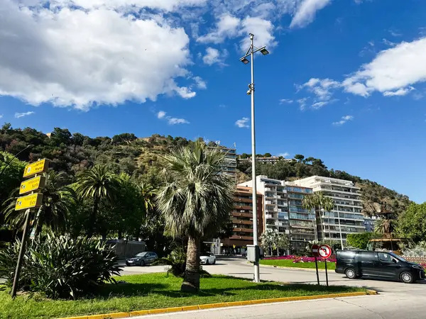 Malaga, İspanya - 02 Mayıs 2025: İspanya 'nın Malaga kentinde modern binalar ve açık bir gökyüzü bulunan palmiye çizgili yol