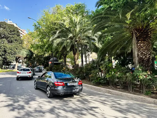 Malaga, İspanya - 02 Mayıs 2025: İspanya 'nın Malaga kentinde güneşli bir zemine karşı kentsel trafiğin yer aldığı palmiye yolu.
