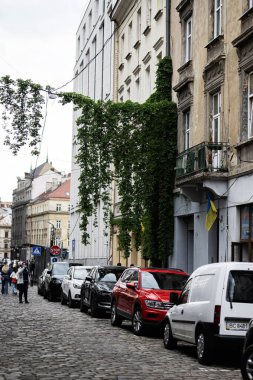 Lviv, Ukrayna - 04 Mayıs 2025: Lviv, Ukrayna 'da yeşillik, eski mimari ve park halindeki araçları gösteren şehir sokak sahnesi. 