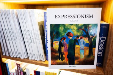 Lviv, Ukrayna - 04 Mayıs 2025: Rafta diğer yaratıcı sanat ve tasarım yayınları ile sergilenen sanatsal dışavurumculuk kitabı.