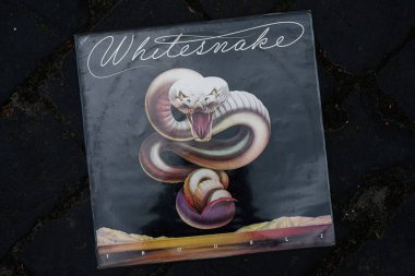 Lviv, Ukrayna - 13 Mayıs 2025: Whitesnake ikonik Trouble 1978 albümü, klasik rock estetiği sergiliyor. Alternatif kapak