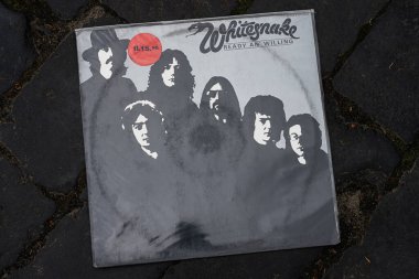 Lviv, Ukrayna - 13 Mayıs 2025: Albüm 1980 dolaylarında belirgin desenli bir kolda ikonik rock sanat eserleri sergiliyor.