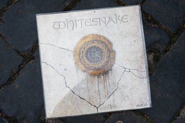 Lviv, Ukrayna - 13 Mayıs 2025: 1987 tarihli Whitesnake ikonik albümünün plağı taştan bir yüzeyde sergilendi.