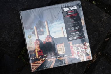 Lviv, Ukrayna - 13 Mayıs 2025: Pink Floyd Animals 'ın 1977 tarihli kaliteli bir endüstriyel kapak tasarımı içeren plak albümü