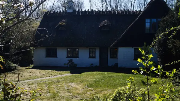 Danimarka 'da ağaçlar ve canlı yeşilliklerle çevrili bir kır evi..