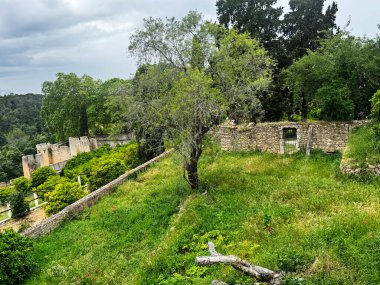 Portekiz 'deki Tomar Kalesi' nde canlı doğanın ortasında antik taş yapılar.