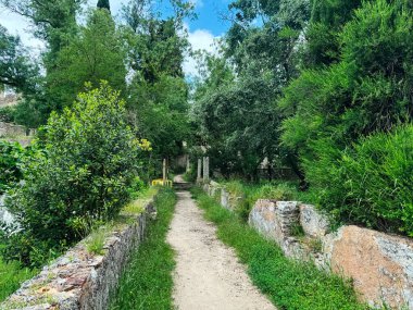 Portekiz, Tomar Şatosu 'ndaki yeşil ve tarihi kalıntıların arasında huzurlu bir yürüyüş.