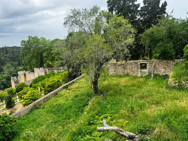 Portekiz 'deki Tomar Kalesi' nde canlı doğanın ortasında antik taş yapılar.