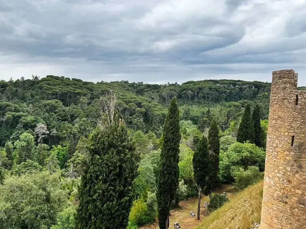 Tarihsel Tomar kalesi manzarası yeşilliği, yüksek ağaçları ve bulutlu hava ortamını vurguluyor