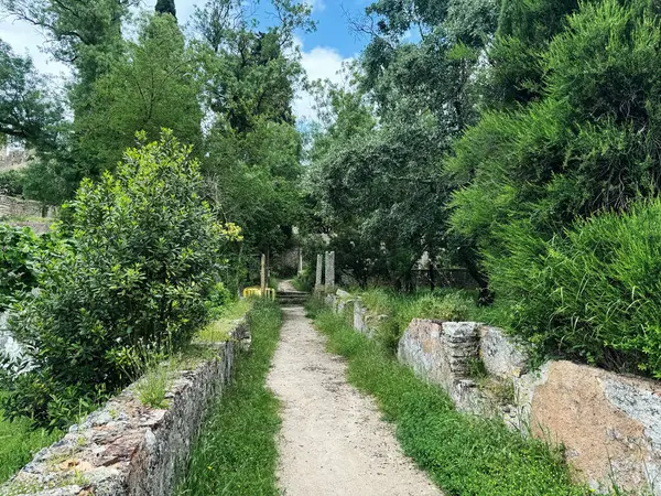Portekiz, Tomar Şatosu 'ndaki yeşil ve tarihi kalıntıların arasında huzurlu bir yürüyüş.