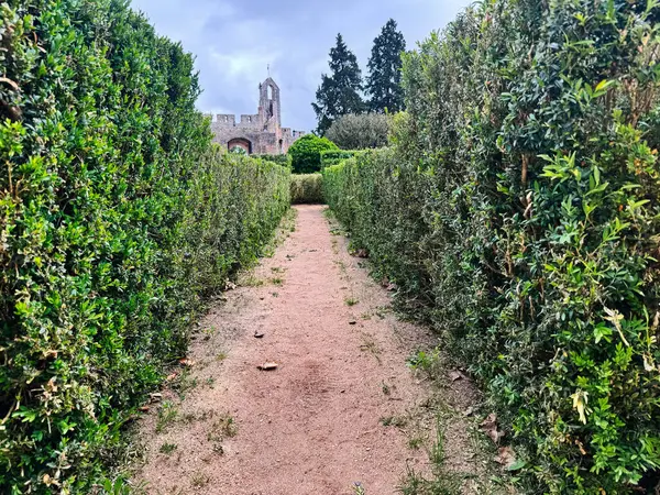 Bahçenin yolu, tarihi Tomar Kalesi 'ne uzanan yüksek çitlerle çevrili.
