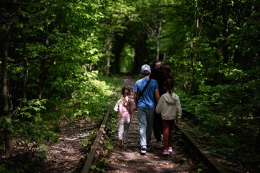 Bir grup, eski bir tren yolu üzerindeki yemyeşil ormanda huzurlu bir yürüyüşün tadını çıkarıyor.