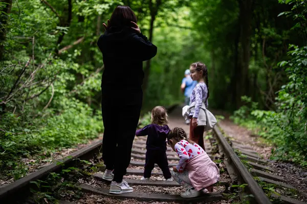 Yoğun yeşil bir ormanda aile macerası. Eski tren yollarında.