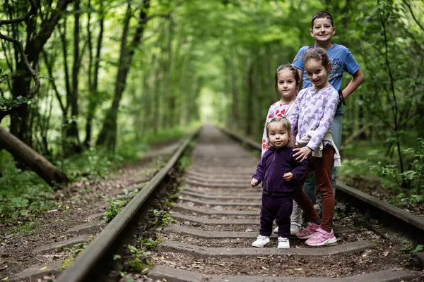 Bir grup çocuk, doğa yolunda birlikte vakit geçiriyorlar.