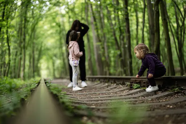 Manzaralı bir ormanda demiryolunu keşfeden bir çocuğu yakalıyor, merak ve bağlantı çağrıştırıyor..