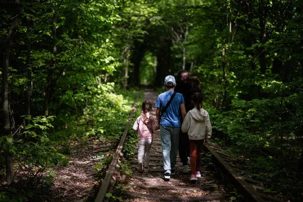 Bir grup, eski bir tren yolu üzerindeki yemyeşil ormanda huzurlu bir yürüyüşün tadını çıkarıyor.