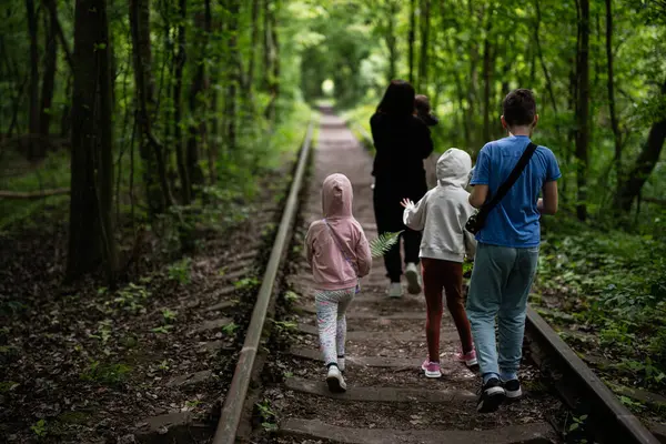 Terk edilmiş bir demiryolunda, bereketli, sakin bir ormanlık alanda aile gezisi.