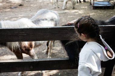 Çiftlik ortamında çitin yanında durup midilli besleyen bir kız..