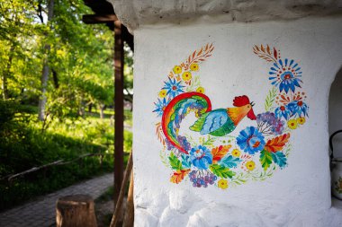 Güzel, canlı, el boyalı, beyaz duvarında çiçekler olan bir horoz tasarımı..