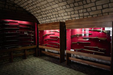 Zbarazh, Ukrayna - 30 Mayıs 2025: Müze galerisinin taş duvarlarına karşı ahşap dolaplarda düzenlenmiş tarihi ateşli silahlar