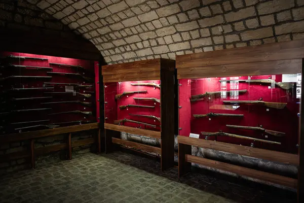 Zbarazh, Ukrayna - 30 Mayıs 2025: Müze galerisinin taş duvarlarına karşı ahşap dolaplarda düzenlenmiş tarihi ateşli silahlar