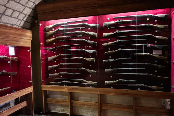 Zbarazh, Ukrayna - 30 Mayıs 2025: Aydınlatma ile cam bir vitrinde sergilenen tarihi tüfek koleksiyonu