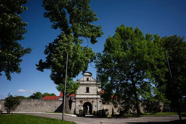 Bereketli mavi gökyüzünün altındaki yemyeşil ağaçlar tarafından çerçevelenmiş güzel tarihi bir bina.