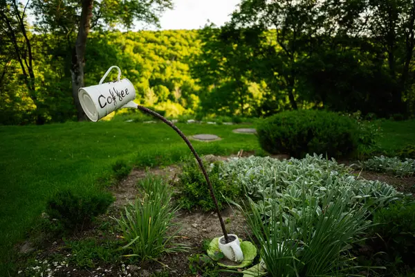 Dekoratif bahçe sanatı. Açık hava manzaralı bir kahve fincanı heykeli.