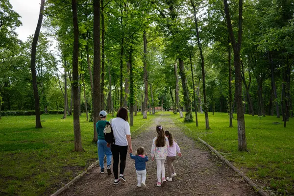 Aydınlık ve aydınlık bir günde ağaçlık bir park yolunda yürüyen bir aile..