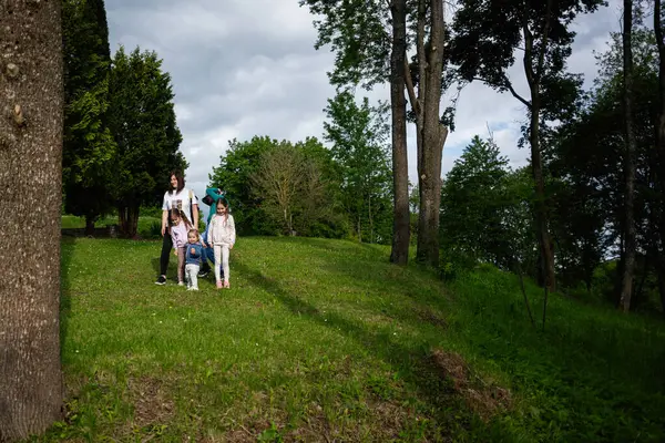 Güneşin altındaki yeşil bir parkta ferahlatıcı bir yürüyüşün tadını çıkaran bir aile..