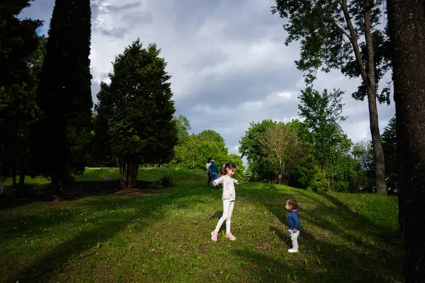 Etrafta yemyeşil bir yer olan doğal bir parkta eğlenen küçük çocuklar..