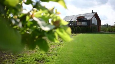 Önünde yeşil çimenler ve yemyeşil yapraklar olan güzel, modern lüks bir ev..