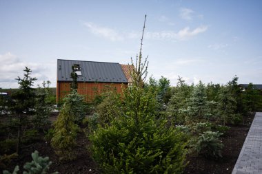 Bereketli yeşil ağaçların arasında rahat ahşap kulübe huzurlu ve huzurlu bir atmosfer sunuyor..