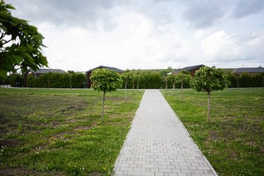 Ağaçlara ve binalara doğru yeni biçilmiş bir tarladan uzanan güneşli patika.