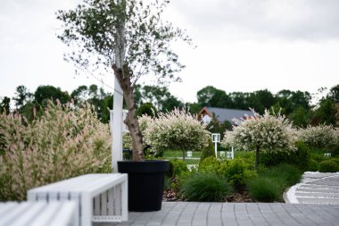 Süslü bitkilerle, patikalarla ve yemyeşil çevreyle manzaralı.