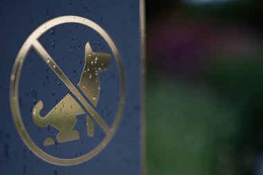 Islak bir tabelaya yakın çekim yapmak, köpeklerin buraya pislemesine izin verilmediğini gösterir..
