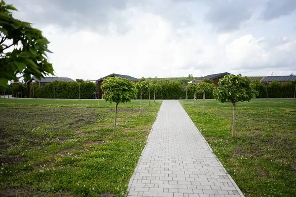 Ağaçlara ve binalara doğru yeni biçilmiş bir tarladan uzanan güneşli patika.