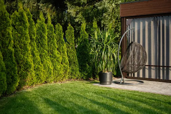 Bereketli yeşil bahçe sahnesinde ağaçlar, rahatlatıcı bir sandalye ve açık hava dekorasyonu var.