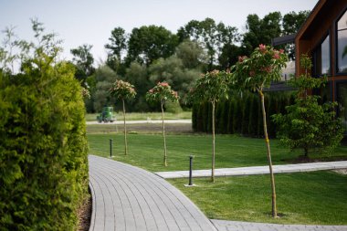 Bir binanın yakınındaki ağaçlarla ve yeşilliklerle çevrili bir bahçeye giden yol..